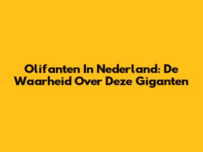 Olifanten In Nederland: De Waarheid Over Deze Giganten