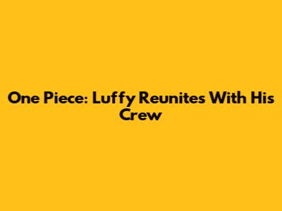 One Piece: Luffy Reunites With His Crew