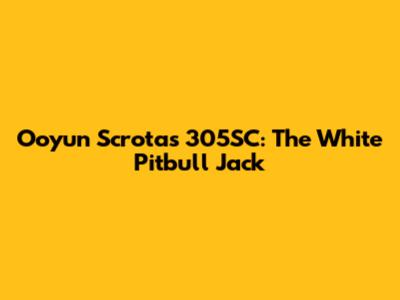 Ooyun Scrotas 305SC: The White Pitbull Jack
