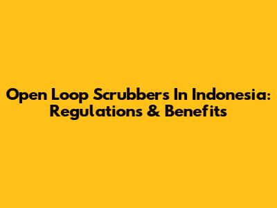 Open Loop Scrubbers In Indonesia: Regulations & Benefits