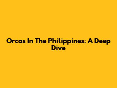 Orcas In The Philippines: A Deep Dive