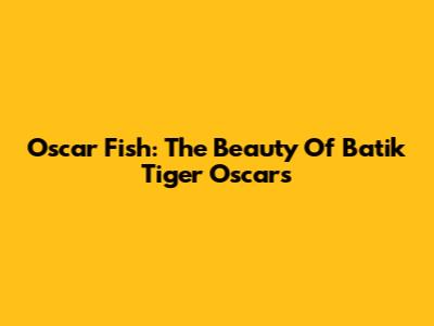 Oscar Fish: The Beauty Of Batik Tiger Oscars