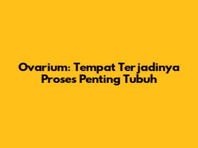 Ovarium: Tempat Terjadinya Proses Penting Tubuh
