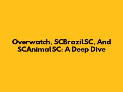 Overwatch, SCBrazilSC, And SCAnimalSC: A Deep Dive