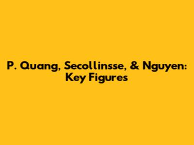 P. Quang, Secollinsse, & Nguyen: Key Figures