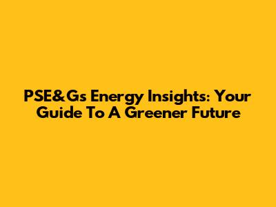 PSE&G's Energy Insights: Your Guide To A Greener Future