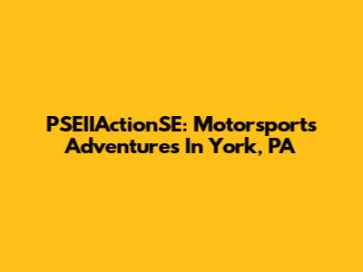 PSEIIActionSE: Motorsports Adventures In York, PA