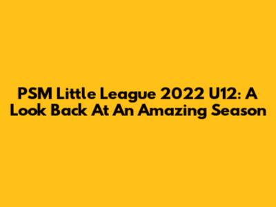 PSM Little League 2022 U12: A Look Back At An Amazing Season
