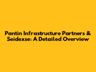 Pantin Infrastructure Partners & Seidexse: A Detailed Overview