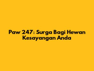 Paw 247: Surga Bagi Hewan Kesayangan Anda
