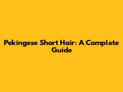 Pekingese Short Hair: A Complete Guide