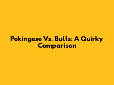 Pekingese Vs. Bulls: A Quirky Comparison
