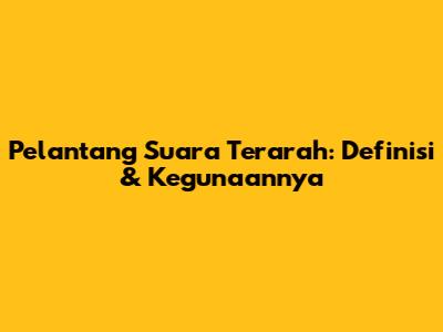 Pelantang Suara Terarah: Definisi & Kegunaannya