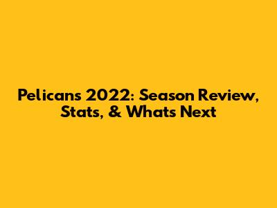 Pelicans 2022: Season Review, Stats, & What's Next
