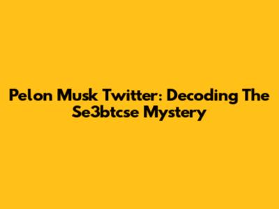 Pelon Musk Twitter: Decoding The Se3btcse Mystery