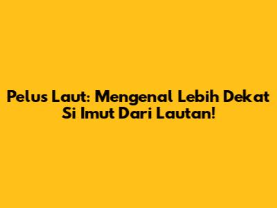 Pelus Laut: Mengenal Lebih Dekat Si Imut Dari Lautan!