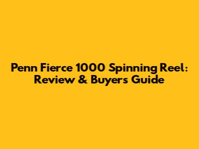 Penn Fierce 1000 Spinning Reel: Review & Buyer's Guide