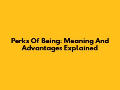 Perks Of Being: Meaning And Advantages Explained