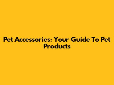 Pet Accessories: Your Guide To Pet Products