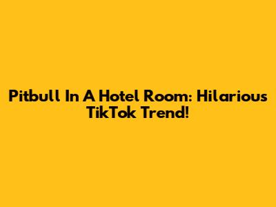 Pitbull In A Hotel Room: Hilarious TikTok Trend!