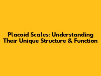 Placoid Scales: Understanding Their Unique Structure & Function