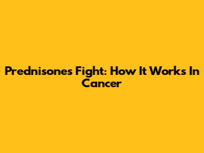 Prednisone's Fight: How It Works In Cancer
