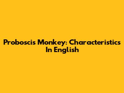 Proboscis Monkey: Characteristics In English