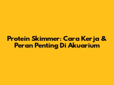 Protein Skimmer: Cara Kerja & Peran Penting Di Akuarium