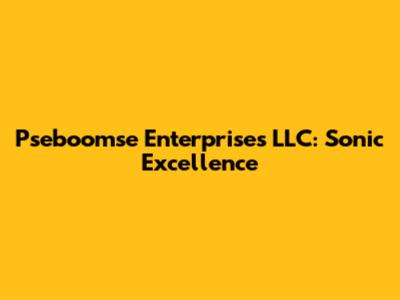 Pseboomse Enterprises LLC: Sonic Excellence