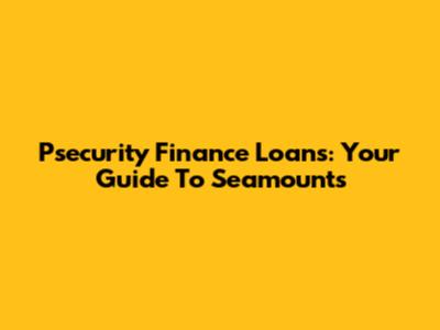 Psecurity Finance Loans: Your Guide To Seamounts