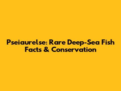 Pseiaurelse: Rare Deep-Sea Fish Facts & Conservation