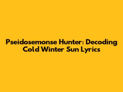 Pseidosemonse Hunter: Decoding Cold Winter Sun Lyrics