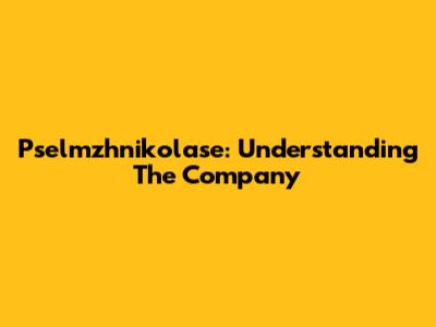 Pselmzhnikolase: Understanding The Company