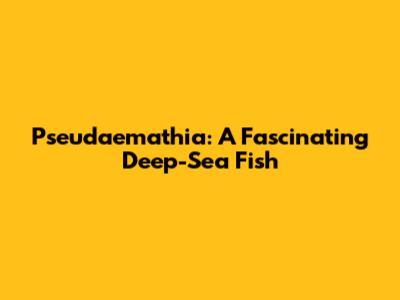Pseudaemathia: A Fascinating Deep-Sea Fish