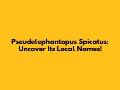 Pseudelephantopus Spicatus: Uncover Its Local Names!