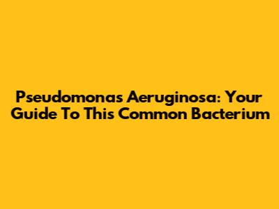 Pseudomonas Aeruginosa: Your Guide To This Common Bacterium