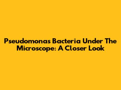 Pseudomonas Bacteria Under The Microscope: A Closer Look