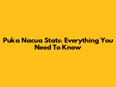 Puka Nacua Stats: Everything You Need To Know