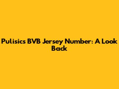 Pulisic's BVB Jersey Number: A Look Back