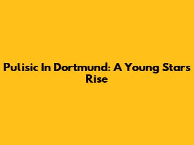 Pulisic In Dortmund: A Young Star's Rise