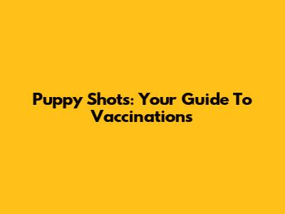 Puppy Shots: Your Guide To Vaccinations