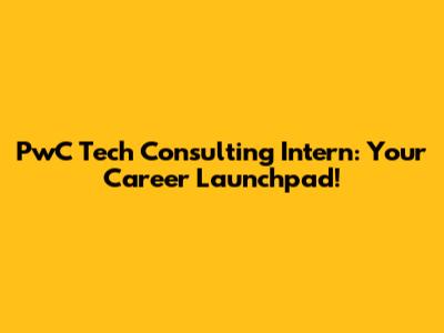 PwC Tech Consulting Intern: Your Career Launchpad!