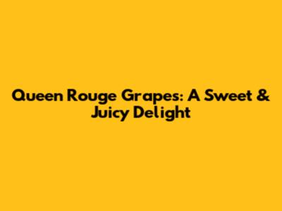 Queen Rouge Grapes: A Sweet & Juicy Delight