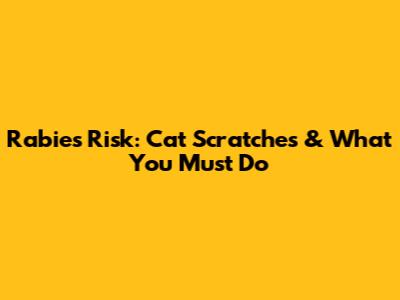 Rabies Risk: Cat Scratches & What You *Must* Do