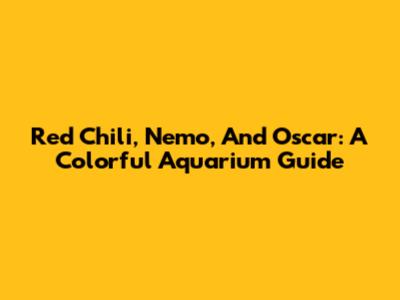 Red Chili, Nemo, And Oscar: A Colorful Aquarium Guide