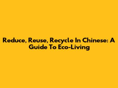 Reduce, Reuse, Recycle In Chinese: A Guide To Eco-Living