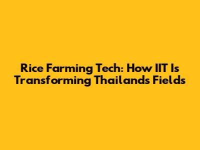 Rice Farming Tech: How IIT Is Transforming Thailand's Fields
