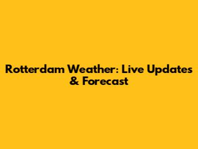 Rotterdam Weather: Live Updates & Forecast