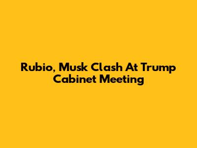 Rubio, Musk Clash At Trump Cabinet Meeting