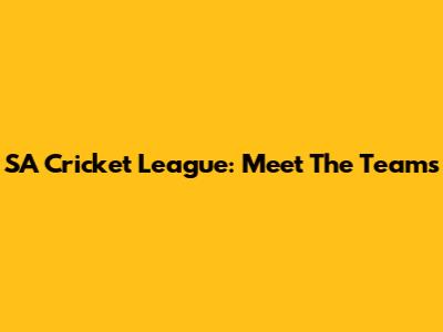 SA Cricket League: Meet The Teams